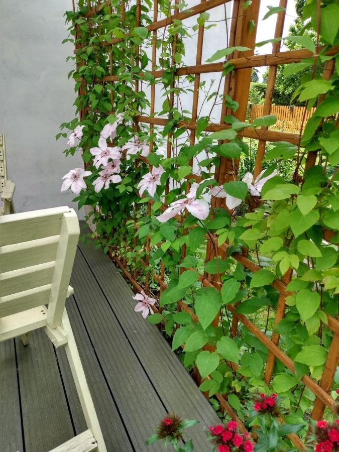 Apartament Przy Kamiennej Chacie Zalewo  Dış mekan fotoğraf